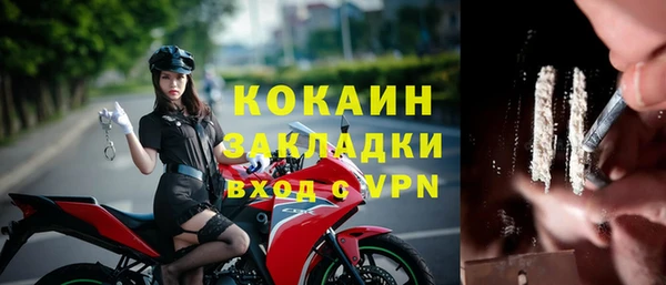 шишки Балабаново