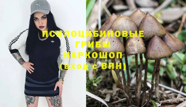 шишки Балабаново