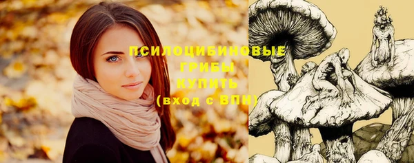 шишки Балабаново